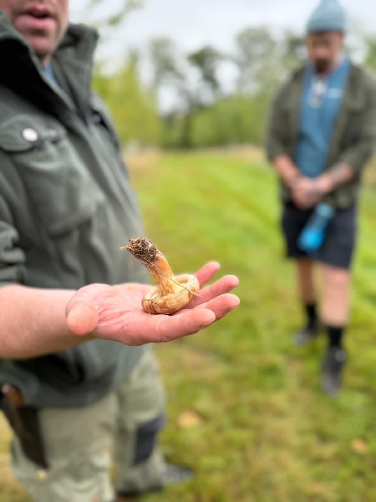 Foraging workshop at Northern Woodcraft.